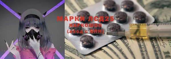 стаф Алзамай