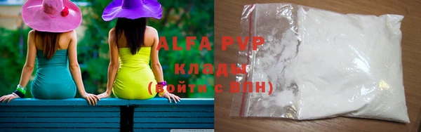 стаф Алзамай