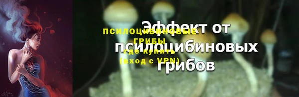 стаф Алзамай