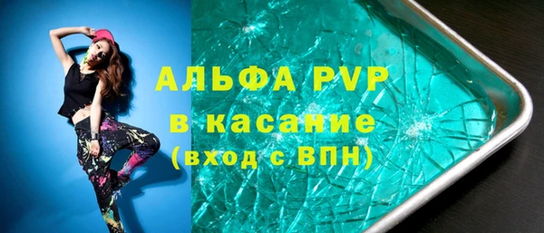 стаф Алзамай