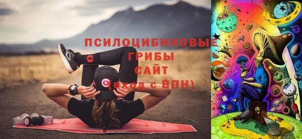 ALPHA PVP Алексеевка